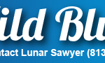 wildblue_airshowdigest_banner